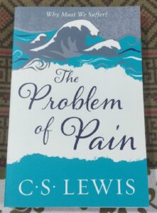 The Problem of Pain