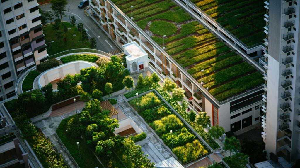 The Rising Concept Of Urban Gardening In The World