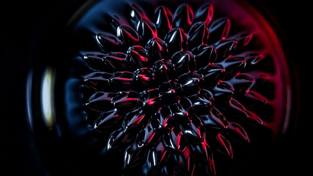 The Interesting Theory Of Morphic Resonance By Rupert Sheldrake