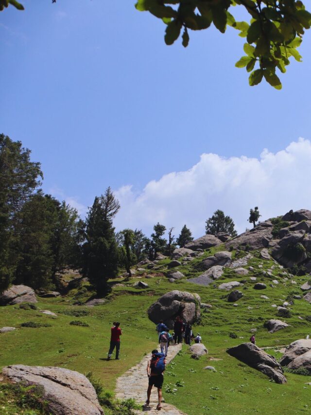 Everything You Need To Know About Churdhar Trek
