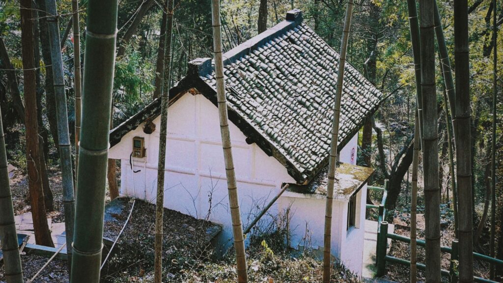 The Fascinating Story of The First Bamboo Village In India