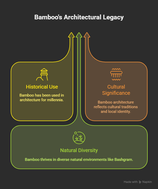 History of Bamboo