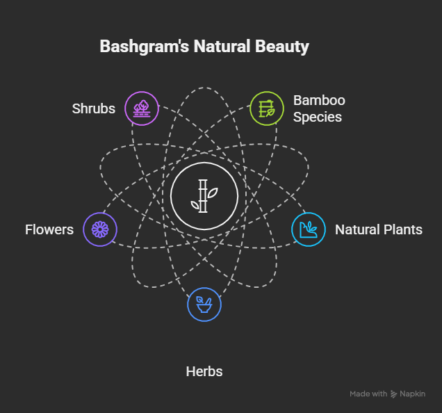 Biodiversity and More
