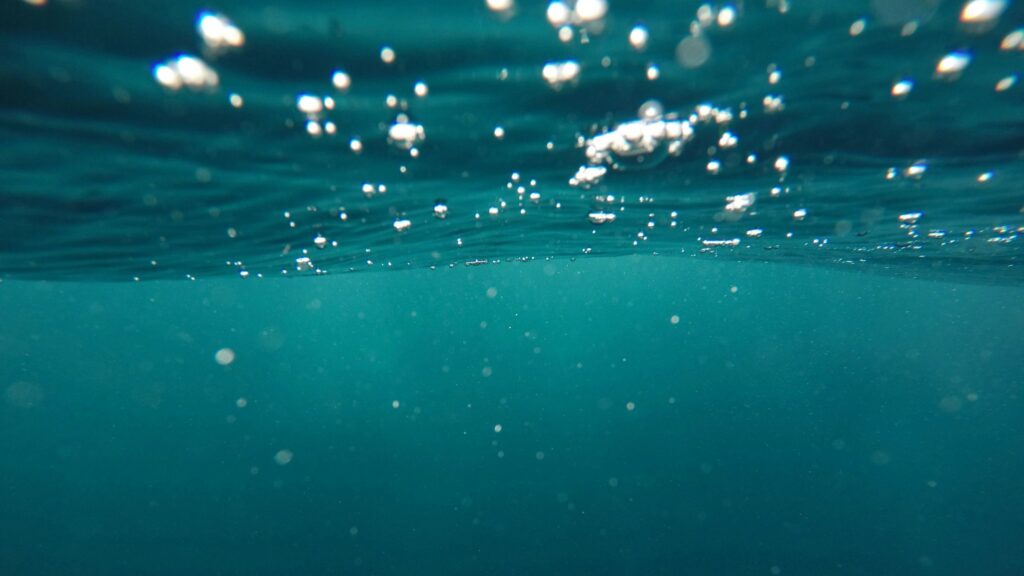 How Dropping Boulders Can Save Ocean And Marine Life?