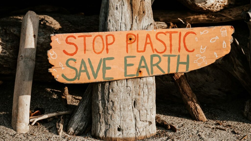 Everything You Need To Know About Plastivores