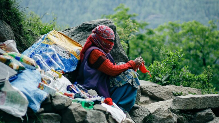 Littering Is The Biggest Threat To The Himalayan Ecology