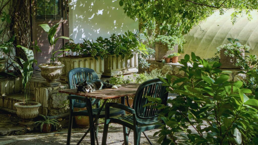Home Garden