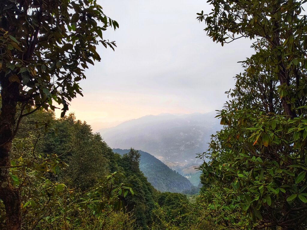 Trail of Mata Birni Devi Temple