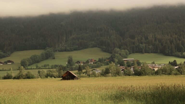 The Future of Humanity Might Shift To Ruralism