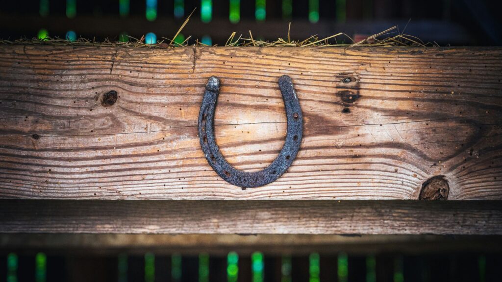 Horseshoe on wood