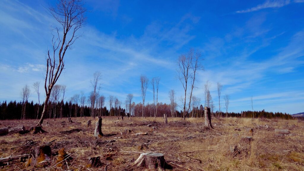 Ecocide Is The Biggest Threat To The Human Civilisation