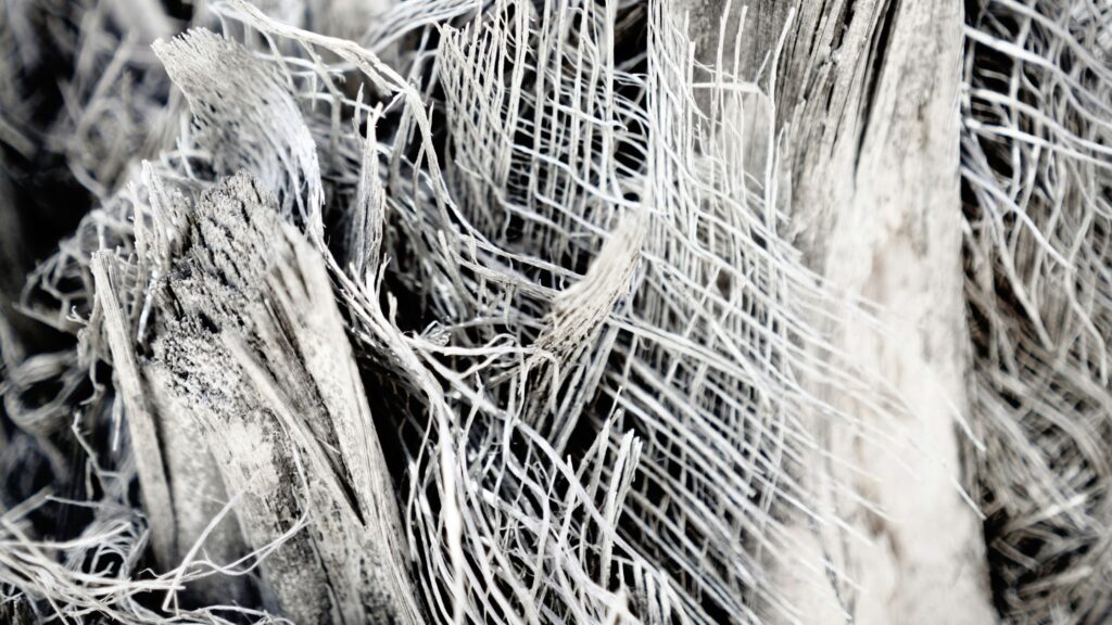 The Problem of Increasing Asbestos Imports In India