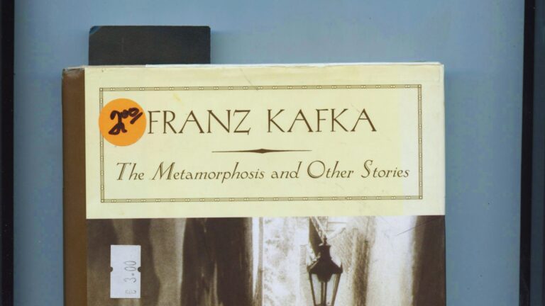 Book Thoughts: Metamorphosis by Franz Kafka