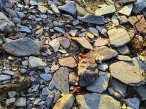 Thatharana Trek stones
