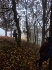 Thatharana Trek forest