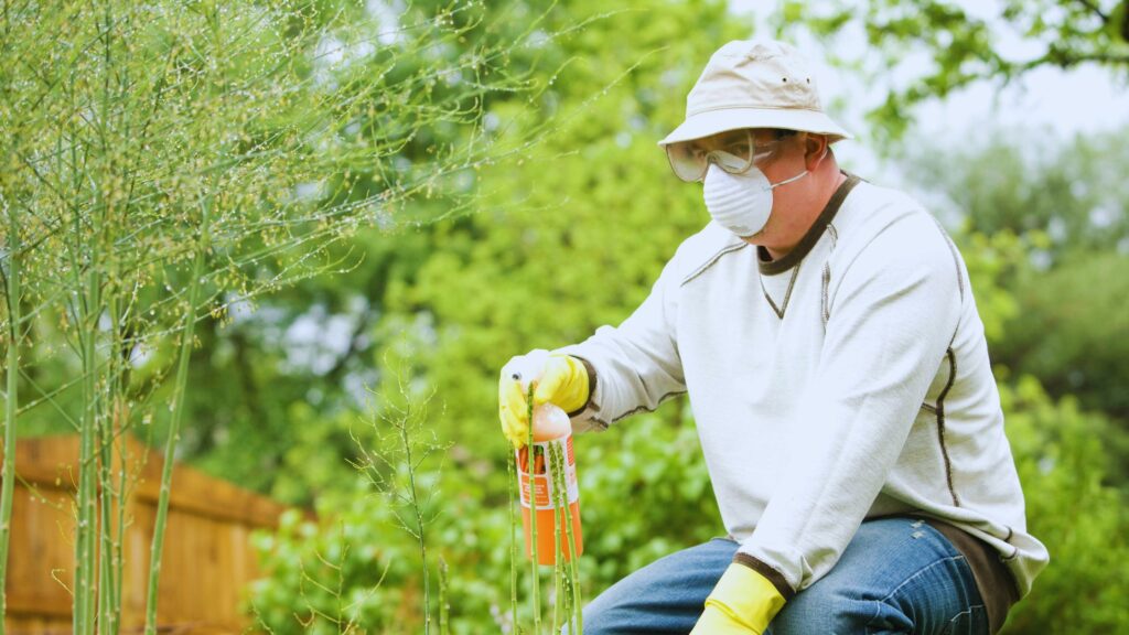 Natural ways to Remove Pests from Home Gardens