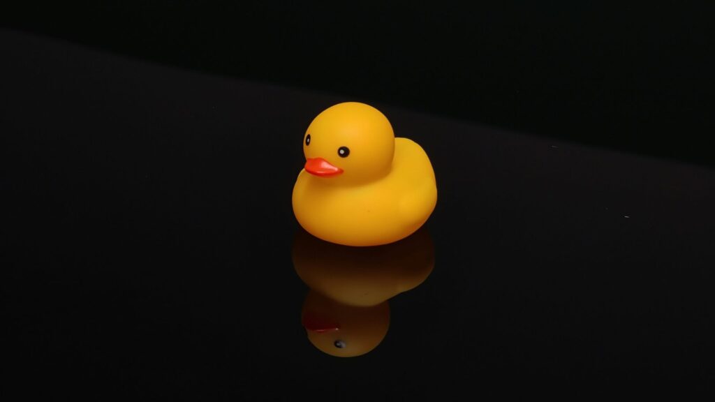 Hate AI Overview: Switch to DuckDuckGo Browser