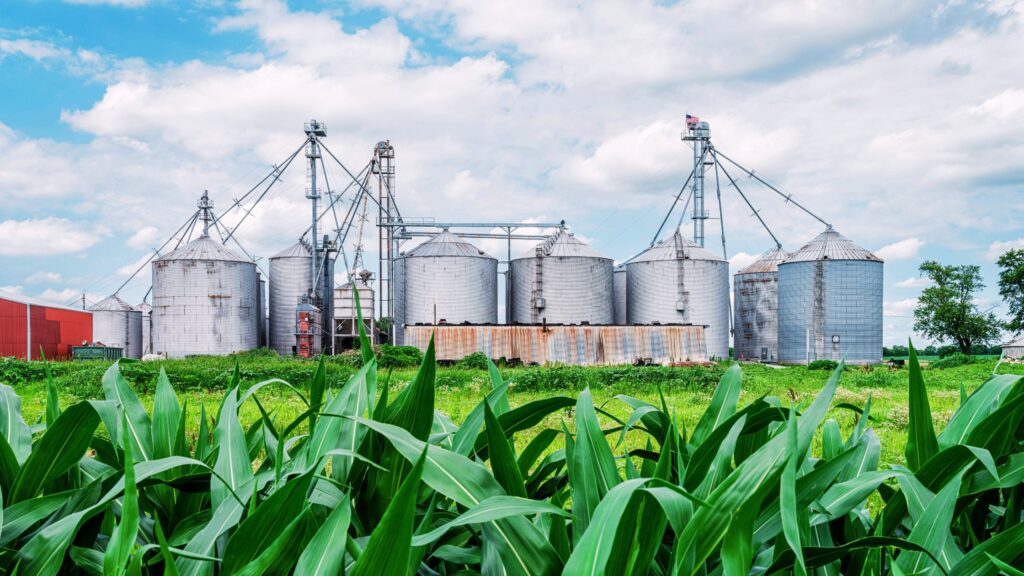 Ethanol Based Fuels Can lead to Water Crisis in India