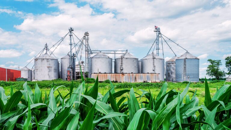 Ethanol Based Fuels Can lead to Water Crisis in India