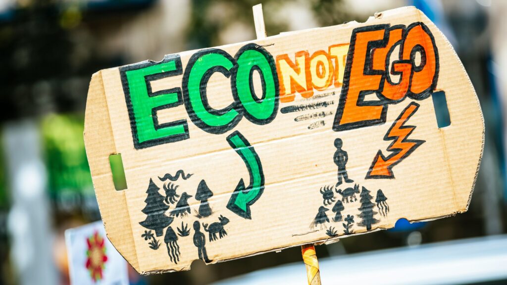 Why Companies Are Moving Towards Sustainable Advertisements