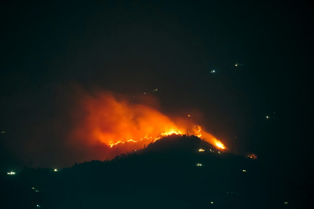 Forest fire